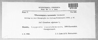 Image Associated With the Occurence